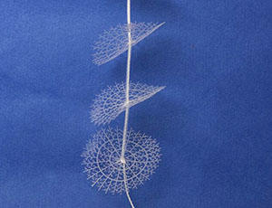 ��ܛ������